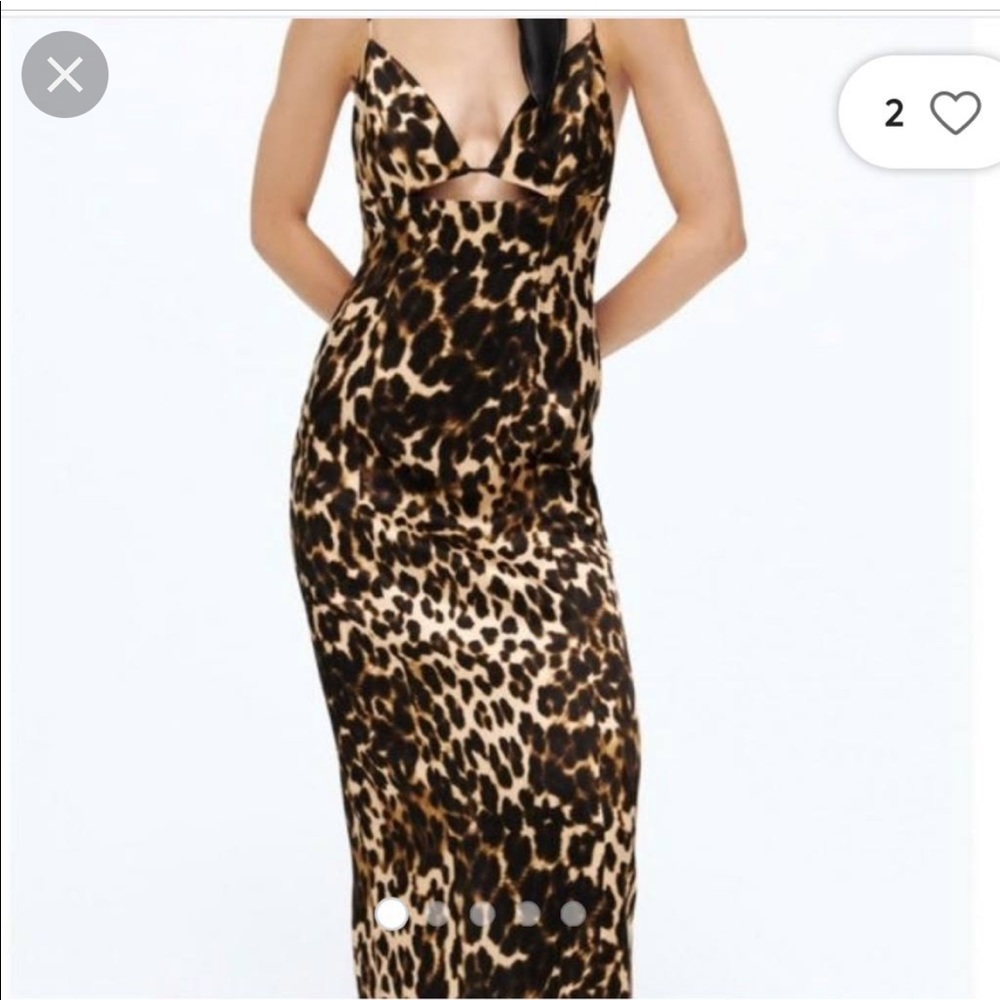 NWT Zara maxi silk dress